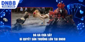Đá Gà Cựa Sắt - Bí Quyết Săn Thưởng Lớn Tại DN88