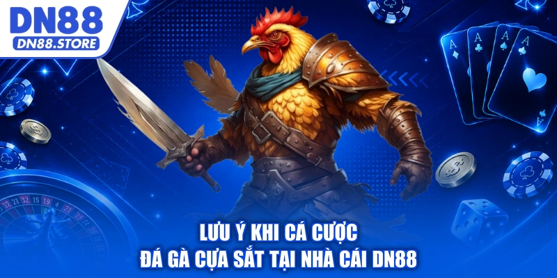 Lưu ý khi cá cược đá gà cựa sắt tại nhà cái DN88