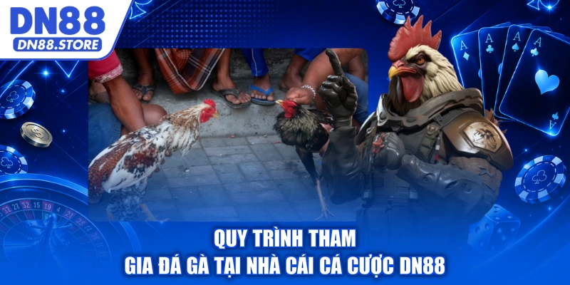 Quy trình tham gia đá gà tại nhà cái cá cược DN88